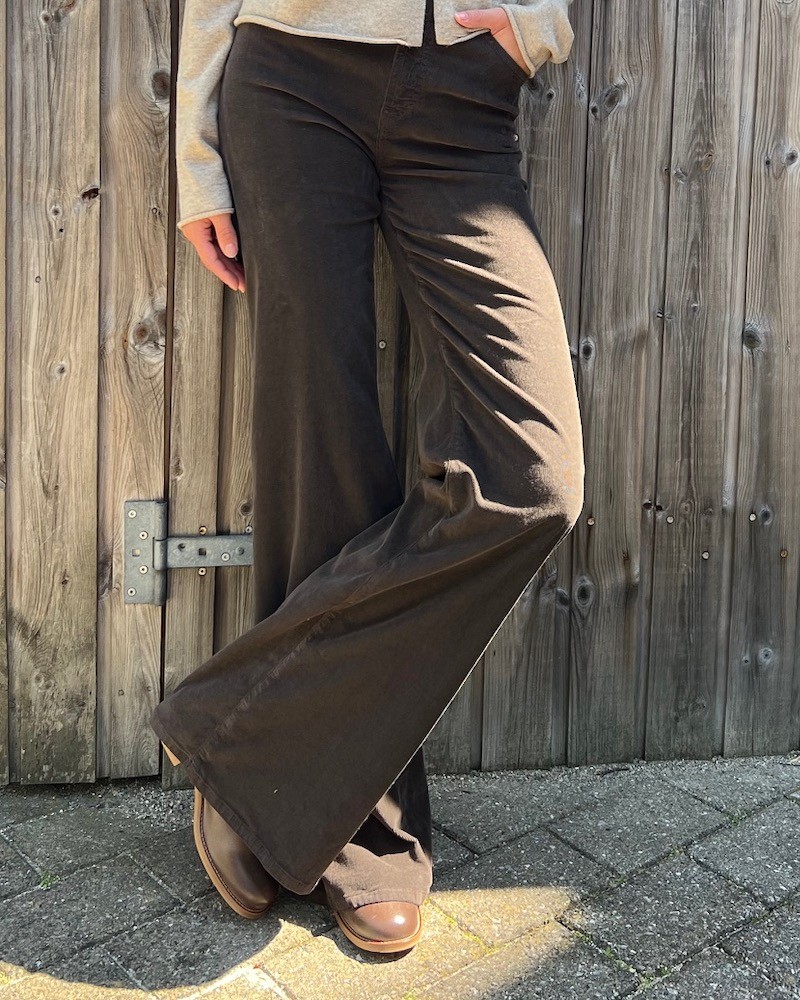Dondup Amber Brune Babyfløjlsbukser på model