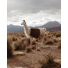 Aiayu Helen Classic Clutch Dark Brown Lama I Bolivia