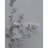 No17 Therapy Eucalyptus æterisk olie