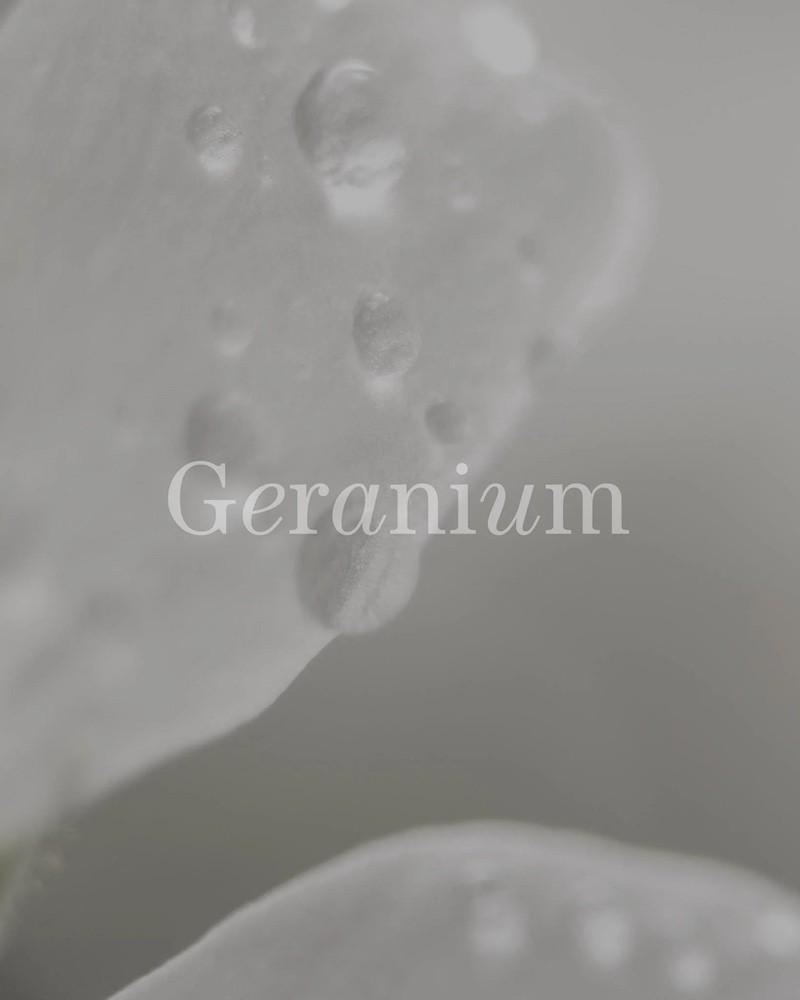 No17 Therapy Geranium æterisk olie