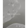 No17 Therapy Geranium æterisk olie