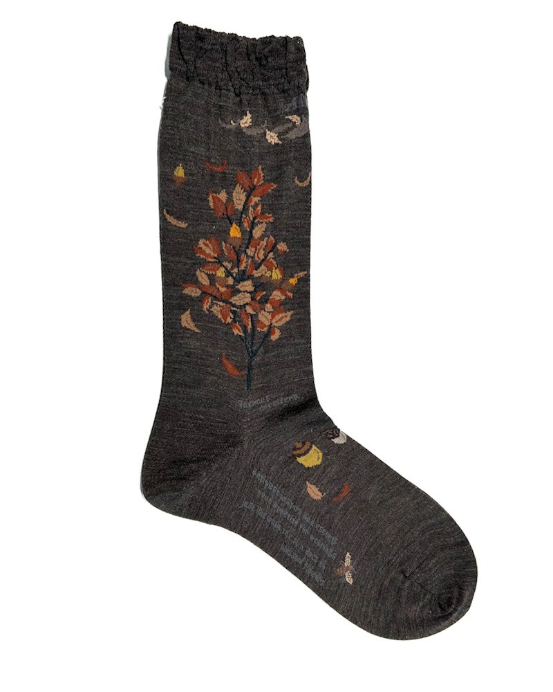 Pack shot af Antipast AM-806 Wind & The Acorn Tree Socks Dark Brown Strømper på hvid baggrund