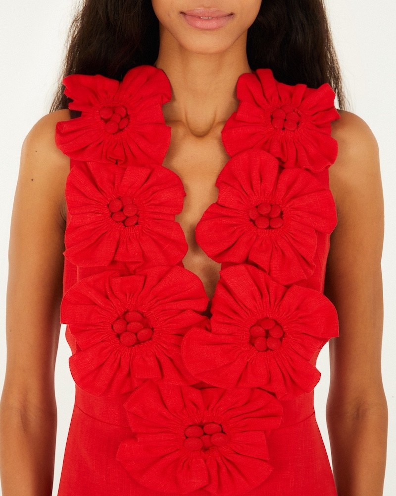 Close up af  Farm Rio Sleeveless Midi Dress Red