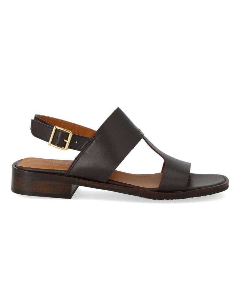 Pack shot af Angulus 5838 T-Rem Sandal Dark Brown