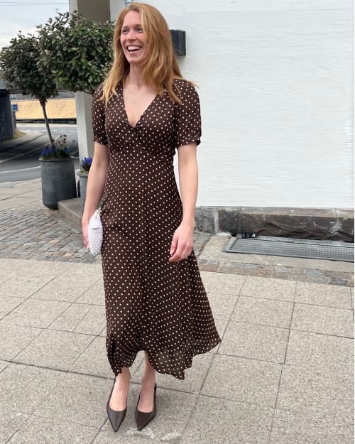 Gerard Darel Razan Dress Brown